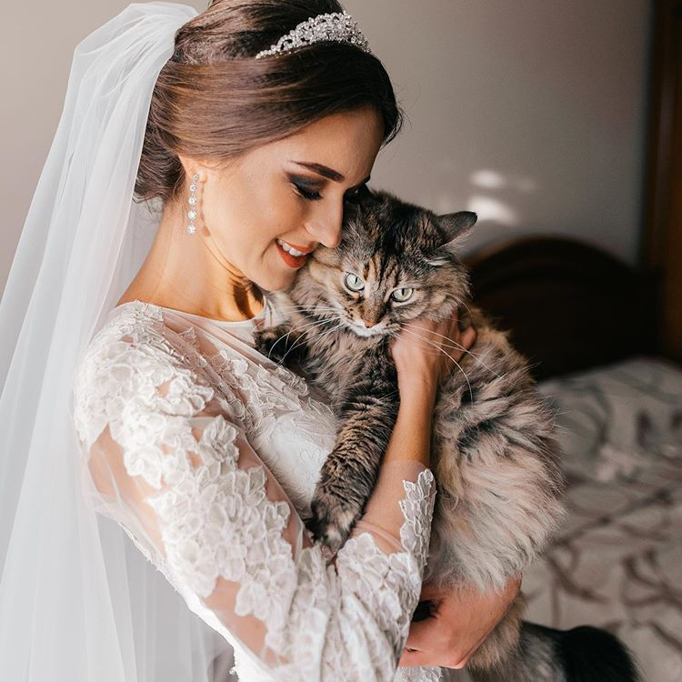 Весільна фотосесія жіночна з тваринами, фото - Фотограф Ульяна Юрченко