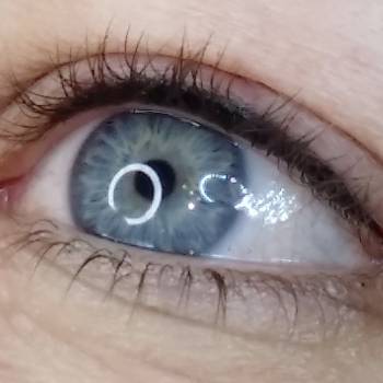 ПМ век (межресничка)