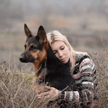 фотосессия с собакой