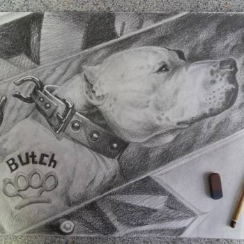 Алексей Ивашов , Киев Фото - 8