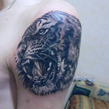 Алексей Ивашов , Киев Фото - 12