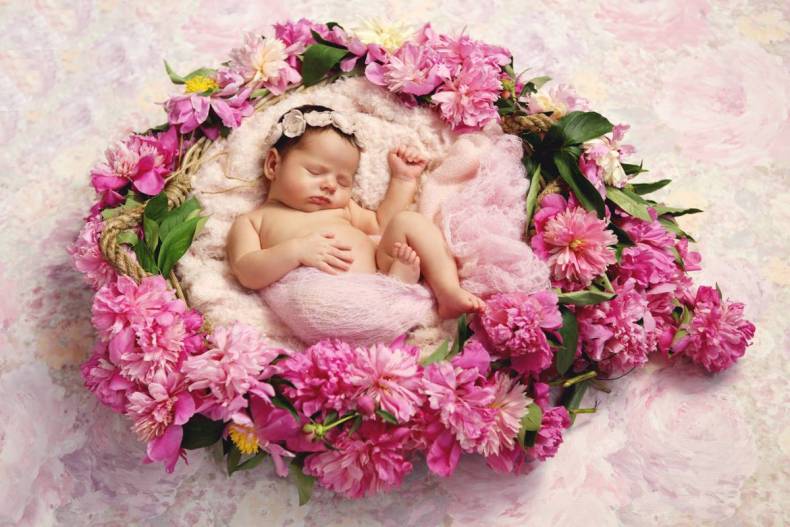 Фотосесія новонароджених у студії ніжна, фото - Фотограф Ирина Павлова