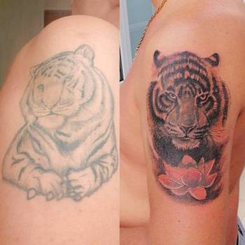 Слон, Киев Фото - 11