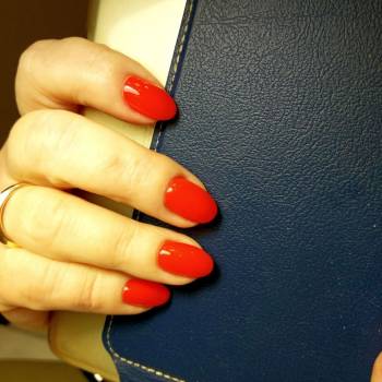 Pomegranate, Днепр Фото - 12