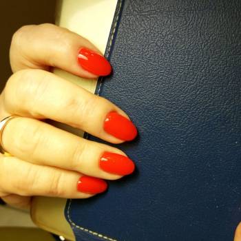 Pomegranate, Днепр Фото - 32