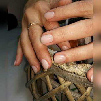 Pomegranate, Днепр Фото - 48