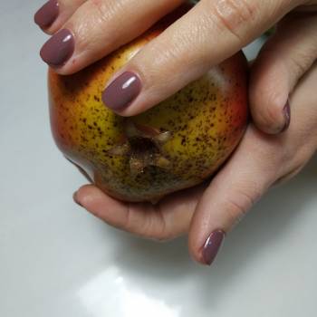 Pomegranate, Днепр Фото - 4