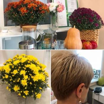 Pomegranate, Днепр Фото - 62