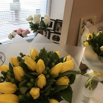 Pomegranate, Днепр Фото - 69