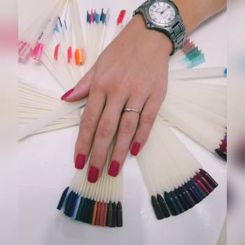 Pomegranate, Днепр Фото - 92