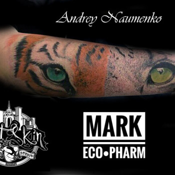 Художественная татуировка любой сложности
                    Тату салон Paint Skin Харьков