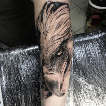 Тату дотворк орел, фото - Тату салон Paint Skin