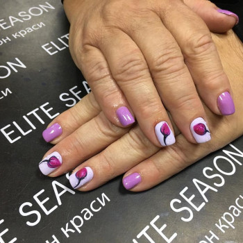 Маникюр
                    Салон красоты Elite Season Сумы