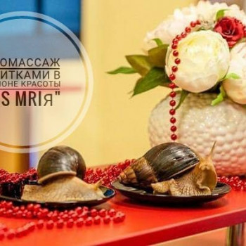 Массаж улитками
                    Салон красоты Мрія Житомир