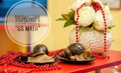 Массаж улитками Салон краси Мрия Житомир