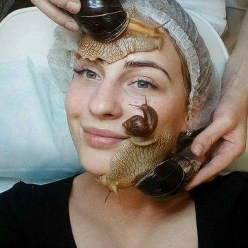 Массаж улитками
                    Салон красоты Мрія Житомир