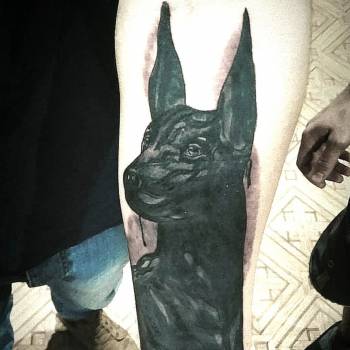 Ваня Гава , Кривой Рог Фото - 5