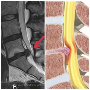 Фото с портфолио Ярошенко Евгений Иванович 