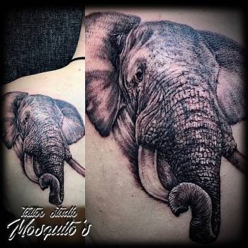 Тату слон, фото - Тату мастер Николай Комарницкий
