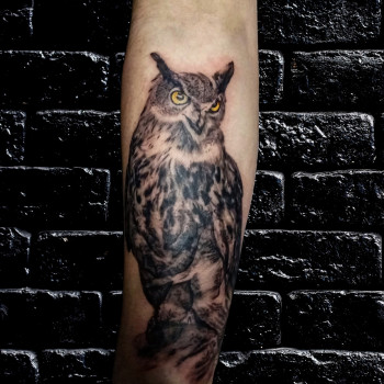 цветные, сова, black&grey
