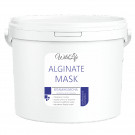 Альгинатная маска с Экстрактом Черной смородины Витаминизирующая TM "WildLife"