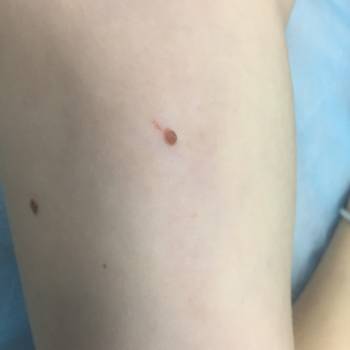 Леда, Київ Фото - 5