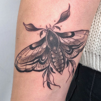 на руке, насекомое, black&grey, жук