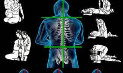 Юмейхо-терапия СПА-салон Шафран Бровары