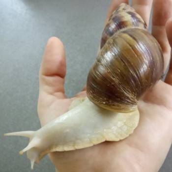 Фото с портфолио Руслана Демишина 