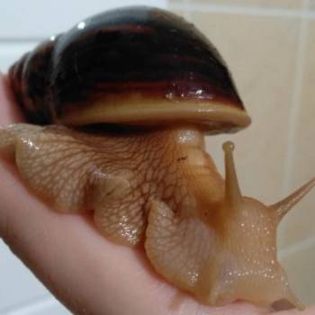 Фото с портфолио Руслана Демишина 