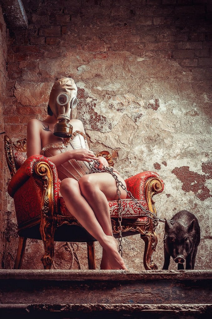 Фотосесія у кріслі з тваринами руїнах, фото - Фотостудiя XXL studio