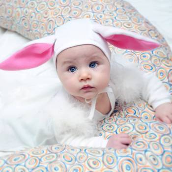 Orion, Киев Фото - 5