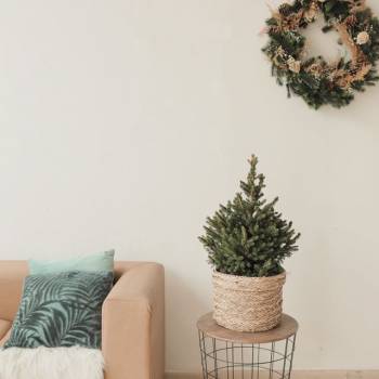 f23, Одеса Фото - 5