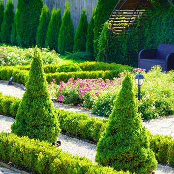 Волшебная студия, Харків Фото - 11