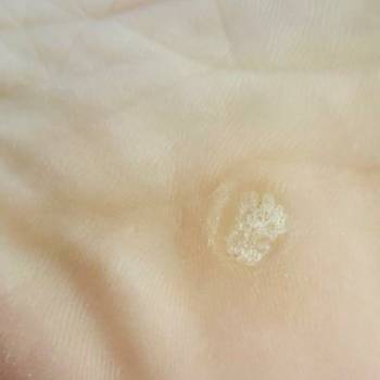 Виктория Городецкая, Каменец-Подольский Фото - 84