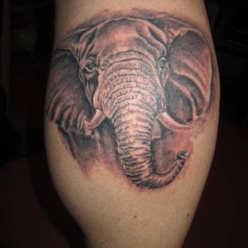 Тату 2014г, фото - Мастер по пирсингу Владимир Медвидь