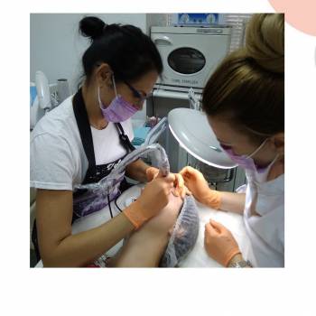 Игла, Днепр Фото - 12