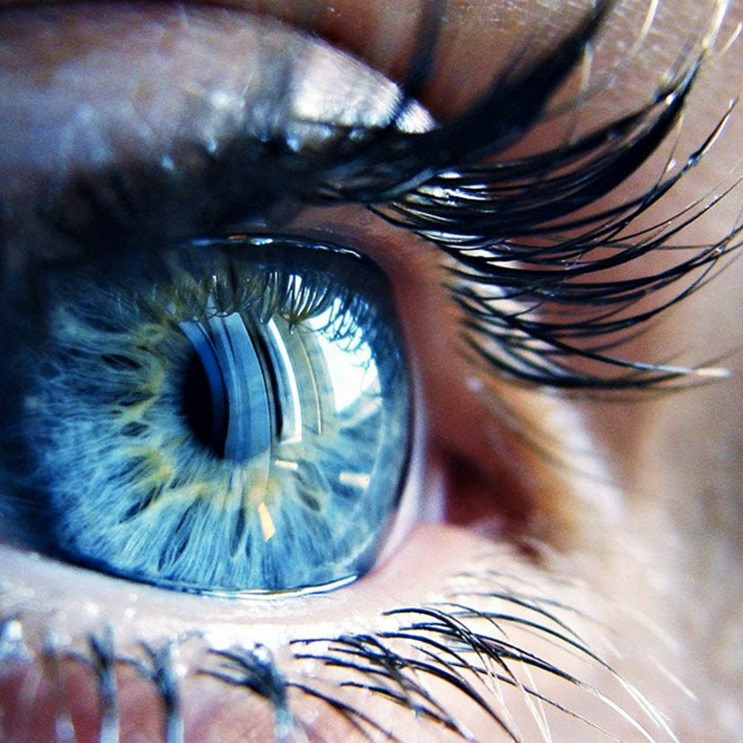 Ламінування вій ботокс, фото -  Yumi lashes