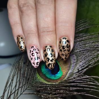 Лилия Казакова , Запоріжжя Фото - 6