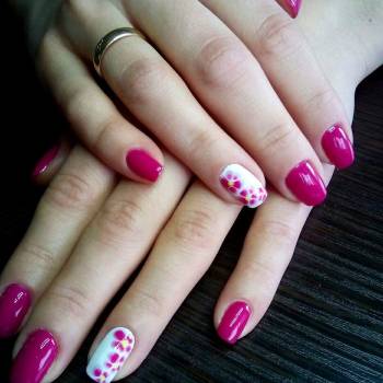 Profi-Master Academy, Киев Фото - 5