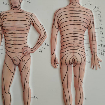 Осеопатия, мануальная терапия
                    Мануальный терапевт Юрий Макаров Киев