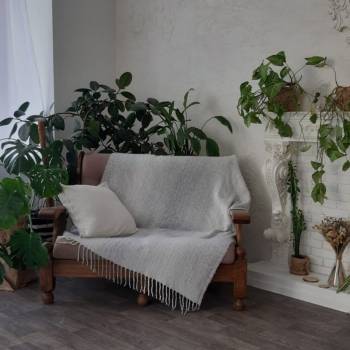 Liana, Харьков Фото - 10