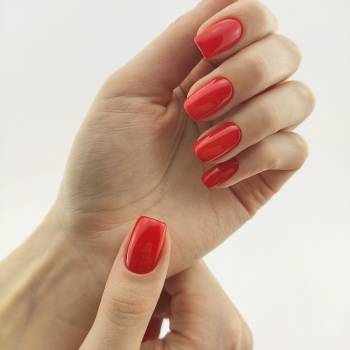 Kyky Ryky, Харків Фото - 20