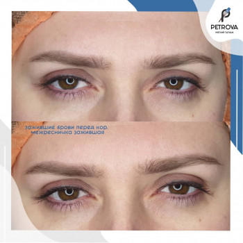 Пудровые брови
                    Майстер перманентного макіяжу Екатерина Петрова Запоріжжя