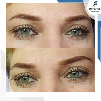 Пудровые брови
                    Майстер перманентного макіяжу Екатерина Петрова Запоріжжя