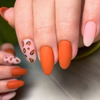 Dore, Київ Фото - 8