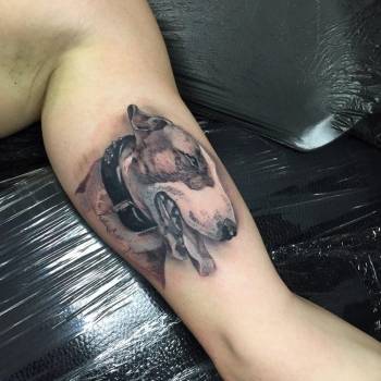 Гризли, Харьков Фото - 93