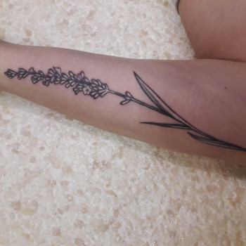 Фото с портфолио Велес