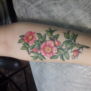 Фото с портфолио Велес