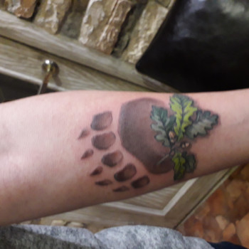 Фото с портфолио Велес